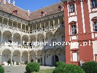 Opocno to miasto w Czechach, w Górach Orlickich. W Opocznie znajduje się renesansowy Zamek. W Zamku zwiedzać można zbiory artystyczne, przedmioty etnograficzne z Afryki i Ameryki, galerię pałacową z dziełami włoskich, holenderskich i czeskich mistrzów, bibliotekę zamkową licząca ponad dwanaście tysięcy ksiąg oraz zbrojownię z jedną z najbogatszych kolekcji broni w Republice Czeskiej.