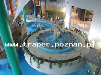 Druskienniki to popularne uzdrowisko litewskie nad brzegiem Niemna. Druskienniki to najsłynniejszy litewski kurort położony wśr&oacute;d las&oacute;w i jezior. Wody mineralne, solanki i borowina dostępne dla wszystkich kuracjuszy polecane są na schorzenia układu oddechowego, serca i chor&oacute;b sk&oacute;ry. Nazwa uzdrowiska pochodzi od litewskiej nazwy soli, druska. Druskienniki były ulubionym uzdrowiskiem Marszałka Piłsudskiego. Pięknie  położony na wysokim brzegu Niemna kurort, otoczony jest lasami Puszczy  Dajnowskiej i uroczymi jeziorkami. Kuracjusze opr&oacute;cz bogatej gamy zabieg&oacute;w sanatoryjnych odwiedzają, park zdrojowy i promenadę, zabytkową cerkiewkę&nbsp; i neogotycki kości&oacute;ł zaprojektowany przez znanego przedwojennego architekta Stefana Szyllera. Promenada wzdłuż Niemna prowadzi do ujścia rzeczki Rotniczanki, gdzie stała willa Marszałka Piłsudskiego. Przy deptaku można nabyć wyroby z bursztynu i pamiątki. Z przystani przy miejskim bulwarze odpływają statki wycieczkowe do leżącego na wzg&oacute;rzu zabytkowego barokowego kościoła i klasztoru w Liszkawie. Znajdują się tam pozostałości grodziska, kt&oacute;re powstało około III w. p.n.e. i istniało aż do IX w. n.e. Podobno w XI w. stał w tym miejscu gr&oacute;d - Nowogr&oacute;dek, siedziba pierwszego i jedynego kr&oacute;la Litwy, Mendoga, kt&oacute;ry w nim miał być koronowany. Akktywne formy wypoczynku oferuje miejscowy aquaparku i park linowy położony nad rzeką. W pobliskiej Rotnicy na przykościelnym cmentarzu pochowany jest przyjaciel Adama Mickiewicza - Jan Czeczot.&nbsp;&nbsp; 9 km od Druskiennik znajduje się park Grutas z ponad 50 pomnikami komunistycznymi z czas&oacute;w radzieckich. W Muzeum Sękacza można zobaczyć największy sękacz na świecie mierzący prawie 4 metry wysokości. Sękaczez&nbsp; Druskiennik wypiekane tradycynieod czas&oacute;w Barbary Radziwiłł&oacute;wny.