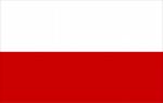 104 Rocznica Wybuchu Powstania Wielkopolskiego w Poznaniu Polska