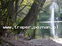 MiskolcTapolca jest położone w p&oacute;łnocno-wschodniej części Węgier blisko granicy ze Słowacją u podn&oacute;ża G&oacute;r Bukowych, 180 km od Budapesztu. W Miskolctapolcy znajduje się j