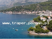 Podgora jest położona w południowej części Chorwacji, w Dalmacji, 10 km od Makarskiej. Znajduje się na Riwierze Makarskiej. Na turyst&oacute;w czekają malownicze plaże, krystalicznie czysta wo