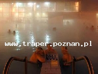 Harkany jest położone w pobliżu miasta P&eacute;cs blisko granicy z Chorwacją. Węgry. Największym skarbem Harkany jest lecznicza woda termalna na miejscowym kąpielisku. Kapielisko termalne jest