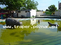 Hajduszoboszl&oacute; tutaj znajduje się największy w Europie kompleks wodny Hungarospa. Olbrzymie kąpielisko z wieloma basenami termalnymi, z falami, rekreacyjnymi, pływackimi, basenami leczniczy