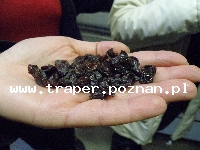 Tokaj to miasto położone w części p&oacute;łnocno-wschodniej Węgier,  u st&oacute;p Łysej G&oacute;ry (Kopasz-hegy), na zboczach kt&oacute;rej uprawiana jest winorośl. Tokaj jest stolicą znan