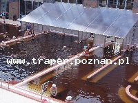 Hajduszoboszl&oacute; tutaj znajduje się największy w Europie kompleks wodny Hungarospa. Olbrzymie kąpielisko z wieloma basenami termalnymi, z falami, rekreacyjnymi, pływackimi, basenami leczniczy