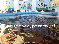 Hajduszoboszl&oacute; tutaj znajduje się największy w Europie kompleks wodny Hungarospa. Olbrzymie kąpielisko z wieloma basenami termalnymi, z falami, rekreacyjnymi, pływackimi, basenami leczniczy