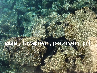 Korcula - wyspa słońca, wina i bogatej historii, to najbardziej śr&oacute;dziemnomorska wyspa Dalmacji, z niej pochodził Marco Polo. Miasteczko Korcula rozwijało się przez wiele lat. Do dzisiaj 