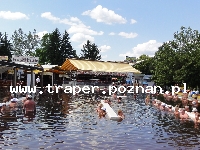 Hajduszoboszl&oacute; tutaj znajduje się największy w Europie kompleks wodny Hungarospa. Olbrzymie kąpielisko z wieloma basenami termalnymi, z falami, rekreacyjnymi, pływackimi, basenami leczniczy