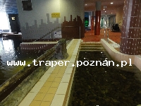 Hajduszoboszl&oacute; tutaj znajduje się największy w Europie kompleks wodny Hungarospa. Olbrzymie kąpielisko z wieloma basenami termalnymi, z falami, rekreacyjnymi, pływackimi, basenami leczniczy
