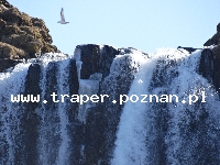 Reykjavik to najbardziej wysunięta na p&oacute;łnoc stolica świata, położona w zachodniej części Islandii.