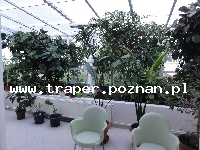 Hajduszoboszl&oacute; tutaj znajduje się największy w Europie kompleks wodny Hungarospa. Olbrzymie kąpielisko z wieloma basenami termalnymi, z falami, rekreacyjnymi, pływackimi, basenami leczniczy