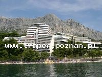 Podgora jest położona w południowej części Chorwacji, w Dalmacji, 10 km od Makarskiej. Znajduje się na Riwierze Makarskiej. Na turyst&oacute;w czekają malownicze plaże, krystalicznie czysta wo
