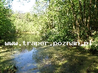 Wycieczki-Polska-Poznań