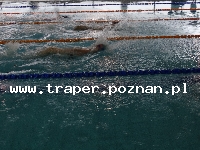 100 Rocznica Wybuchu Powstania Wielkopolskiego w Poznaniu PolskaWielkopolanie  jak co roku obchodzą wielkie święto udanego Powstania Wielkopolskiego,  jednego z nielicznych zakończonych sukcesem. 