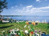 Balaton to największe jezioro w Europie Środkowej. Latem szybko się nagrzewa do temperatury 21-28&deg;C. Średnia głębokość 4 m. Południowy brzeg jest płytszy i można spacerować daleko w je