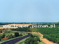Villany to miejscowość słynąca z wybornych czerwonych win, położona jest na stokach wzg&oacute;rz Vill&aacute;ny, około 20 km od Pecsu, zyskała zaszczytny tytuł Miasta Wina i Winnej Latorośl
