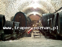 Bratysława to stolica i największe miasto Słowacji. Bratysława leży nad Dunajem. Polecamy zwiedzić:- Hrad - czyli bratysławski zamek- baszta Luginsland z Muzeum Muzycznym- Muzeum Kultury Żydow
