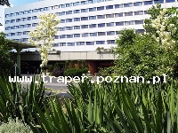 Budapeszt - stolica Węgier, perła Dunaju, miasto uzdrowisko - kurort, Paryż kraj&oacute;w C.K., nazwy te pochodzą od zr&oacute;żnicowanych styl&oacute;w budowlanych i kreacji w modzie. Zapraszamy