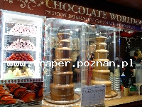 Londyn to stolica Wielkiej Brytanii. Miasto w południowo-wschodniej jej części. Jest r&oacute;wnież stolicą Anglii. Położony nad Tamizą, jest drugim największym miastem Europy, jest także je