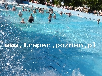 Hajduszoboszl&oacute; tutaj znajduje się największy w Europie kompleks wodny Hungarospa. Olbrzymie kąpielisko z wieloma basenami termalnymi, z falami, rekreacyjnymi, pływackimi, basenami leczniczy