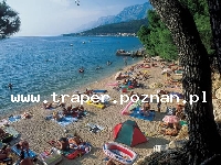 Podgora jest położona w południowej części Chorwacji, w Dalmacji, 10 km od Makarskiej. Znajduje się na Riwierze Makarskiej. Na turyst&oacute;w czekają malownicze plaże, krystalicznie czysta wo