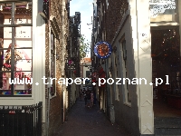 Amsterdam to miasto jest światową metropolią sztuki, kultury, mody i designu. Położony jest pośr&oacute;d setek kanał&oacute;w. Amsterdam ma tradycję miasta tolerancji. Szczeg&oacute;lnie pole