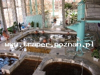 Hajduszoboszl&oacute; tutaj znajduje się największy w Europie kompleks wodny Hungarospa. Olbrzymie kąpielisko z wieloma basenami termalnymi, z falami, rekreacyjnymi, pływackimi, basenami leczniczy