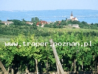 Balaton to największe jezioro w Europie Środkowej. Latem szybko się nagrzewa do temperatury 21-28&deg;C. Średnia głębokość 4 m. Południowy brzeg jest płytszy i można spacerować daleko w je
