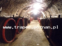Tokaj to miasto położone w części p&oacute;łnocno-wschodniej Węgier,  u st&oacute;p Łysej G&oacute;ry (Kopasz-hegy), na zboczach kt&oacute;rej uprawiana jest winorośl. Tokaj jest stolicą znan