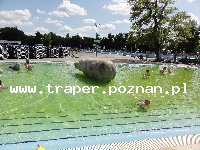 Hajduszoboszl&oacute; tutaj znajduje się największy w Europie kompleks wodny Hungarospa. Olbrzymie kąpielisko z wieloma basenami termalnymi, z falami, rekreacyjnymi, pływackimi, basenami leczniczy