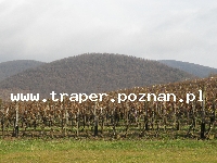 Tokaj to miasto położone w części p&oacute;łnocno-wschodniej Węgier,  u st&oacute;p Łysej G&oacute;ry (Kopasz-hegy), na zboczach kt&oacute;rej uprawiana jest winorośl. Tokaj jest stolicą znan